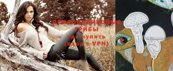 mix Елабуга