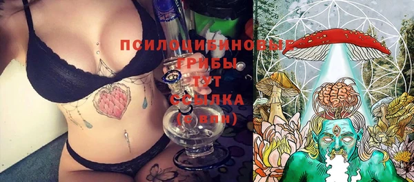 эйфоретик Беломорск
