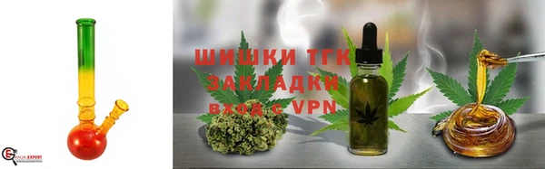 ПСИЛОЦИБИНОВЫЕ ГРИБЫ Заволжье