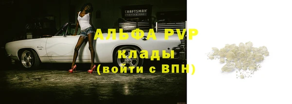 эйфоретик Беломорск