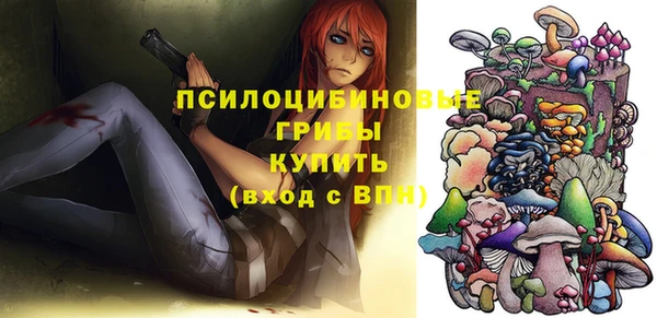 эйфоретик Беломорск
