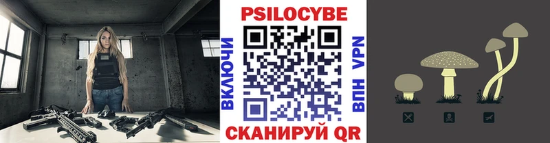 Галлюциногенные грибы Psilocybe  купить закладку  Бор 